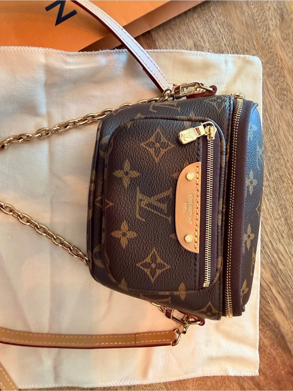 Louis Vuitton Brown Monogram Mini Bum Bag - Picture 2 of 13